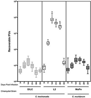 Comparison of Murine Cervicovaginal Infection by Chlamydial Strains: Identification of Extrusions Shed In vivo